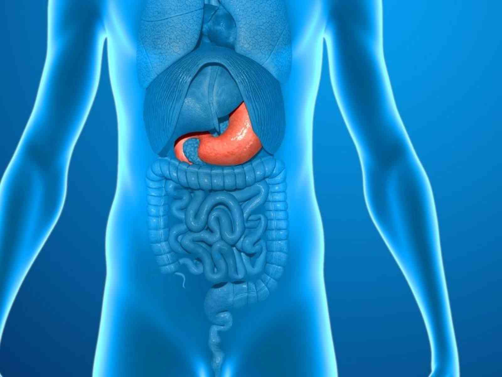 Tüp Mide Ameliyatı